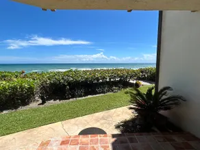 Turtle Beach Oasis - Image 2