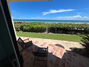 Turtle Beach Oasis - Image 3
