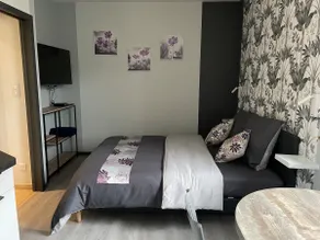 Private hot tub/ Parking/ Netflix/ Quiet location - Image 3