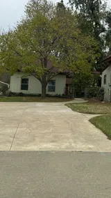 The Little House - Image 4