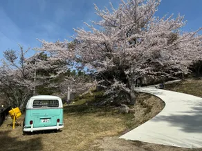 SHODOSHIMA PRIVATE CAMP SITE - Image 2
