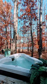 Modern Cabin-HotTUB-Lake Peaceful Escape! - Image 3