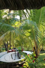 Casa Luna - beachfront house with kayaks and campfire - Image 4