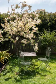 Federation Cottage on the Cradle Coast, Tasmania - Image 4