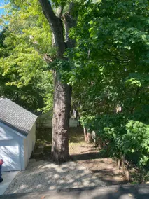 Creston Charm - Image 5