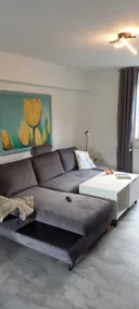 Apartment with infrared cabin - Image 3