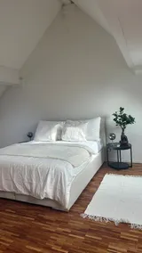 3,5 Room Penthouse with amazing Rooftop ( - Image 4