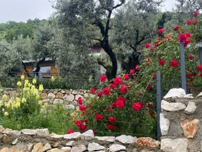 Country House (Lake Iznik) - Image 2