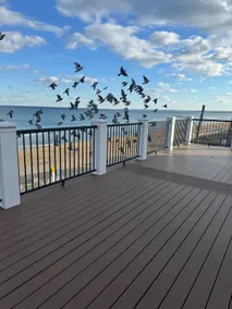 Panoramic penthouse, direct beach view and access - Image 2