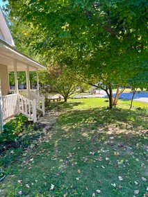 The Shade Tree of Mountain View - Image 4