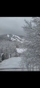 Condo 3 beds overlooking slopes! Dogs/EV Charging/BBQ - Image 3