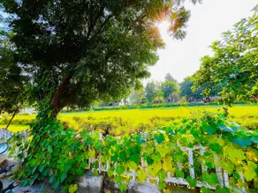 Garden Villa (200 meters from Expo Mart) - Image 5