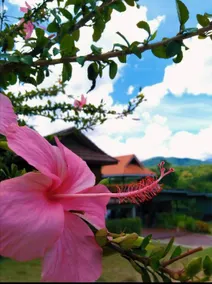 Tip’s Mountain House บ้านสวนทิพย์ - Image 2