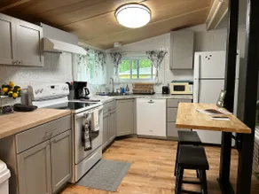 Lucky Loon! Dock, fire pit, & beautiful lake view! - Image 4