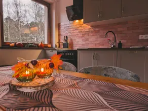 Lakefront apartment with sauna and hot tub - Image 2