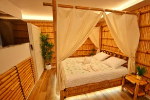 Jungle Spa • Private hot tub • 4 people • 10 min from Colmar - Image 2