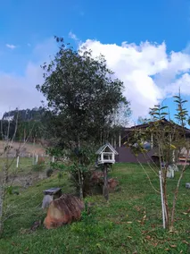 Vô Angelo's Farm - Image 3