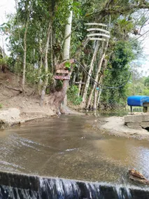 Vô Angelo's Farm - Image 2