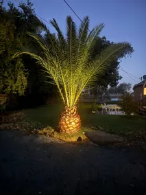 Country/Large Parking/Large Yard/1King Suite - Image 5