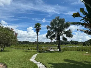 Cozy Cabin in Tampa Area - Image 5