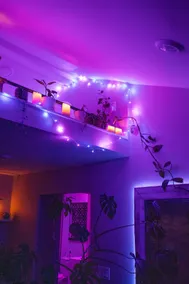 Cozy Plant-Filled Loft | Near Wineries & Beaches - Image 5