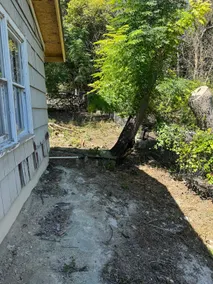 Lakeview Fishing Cottage 3 - Image 5