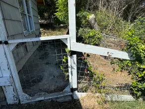 Lakeview Fishing Cottage 3 - Image 4