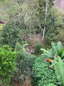 Super quiet country house - riverside! - Image 3