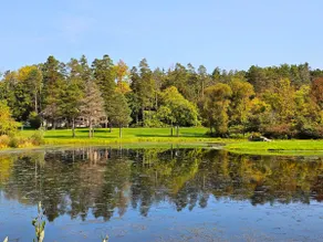 Red Pines Pond - Image 3