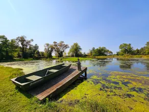 Red Pines Pond - Image 2