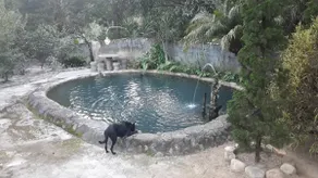 Lakeside retreat - Image 2