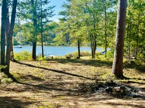 Pine Cabin on Gilmore - Image 3