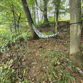 Rivers edge primitive cabin - Image 2