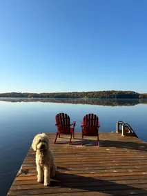 Cozy Lakefront Muskoka Cottage - Image 5
