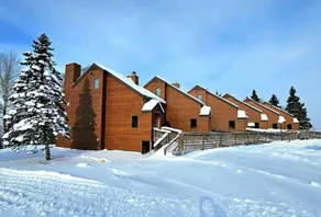Ski-in/out condo - Image 2