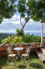 Casa de los Olivos - Image 5