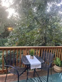 Costal Forest Retreat w/Hot Tub - Image 5