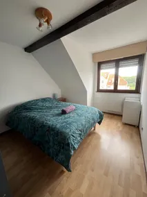 Spacious apartment in Illkirch with balcony - Image 2