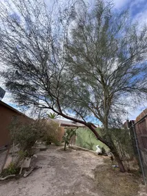 comfy house in N Las Vegas (close to the strip) - Image 5