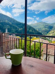 Forrest Guesthouse - Image 2