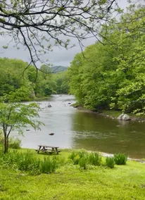 Historic Edge of the River, Adirondacks - Image 2