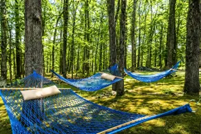 POOL|HotTub|5BR4Bath|FirePit|Hammock|Volleyball AC - Image 3