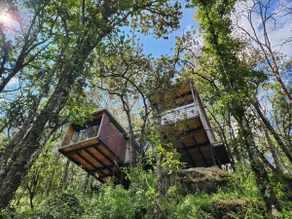 Studio House, edge of the forest. - Image 4