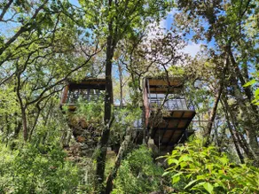 Studio House, edge of the forest. - Image 5