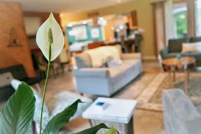 Pug Cottage - Image 3
