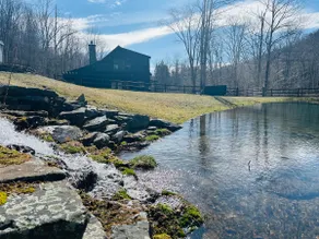 Stunning, secluded luxury in Phoenicia mountains - Image 3