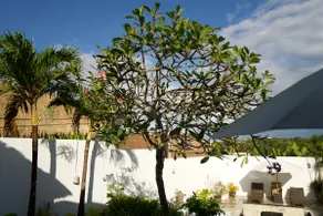 4BR Pool Villa • Great Location, Beach Club Access - Image 5