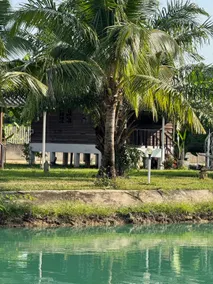 Quiet, peaceful, natural home - Image 4