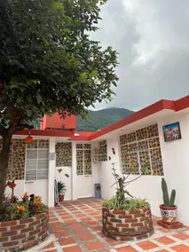 Beautiful sunflowers home Orizaba - Image 2