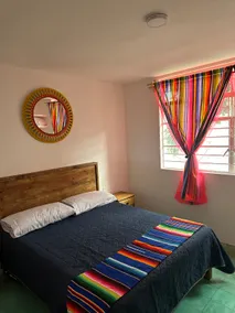 Beautiful sunflowers home Orizaba - Image 5